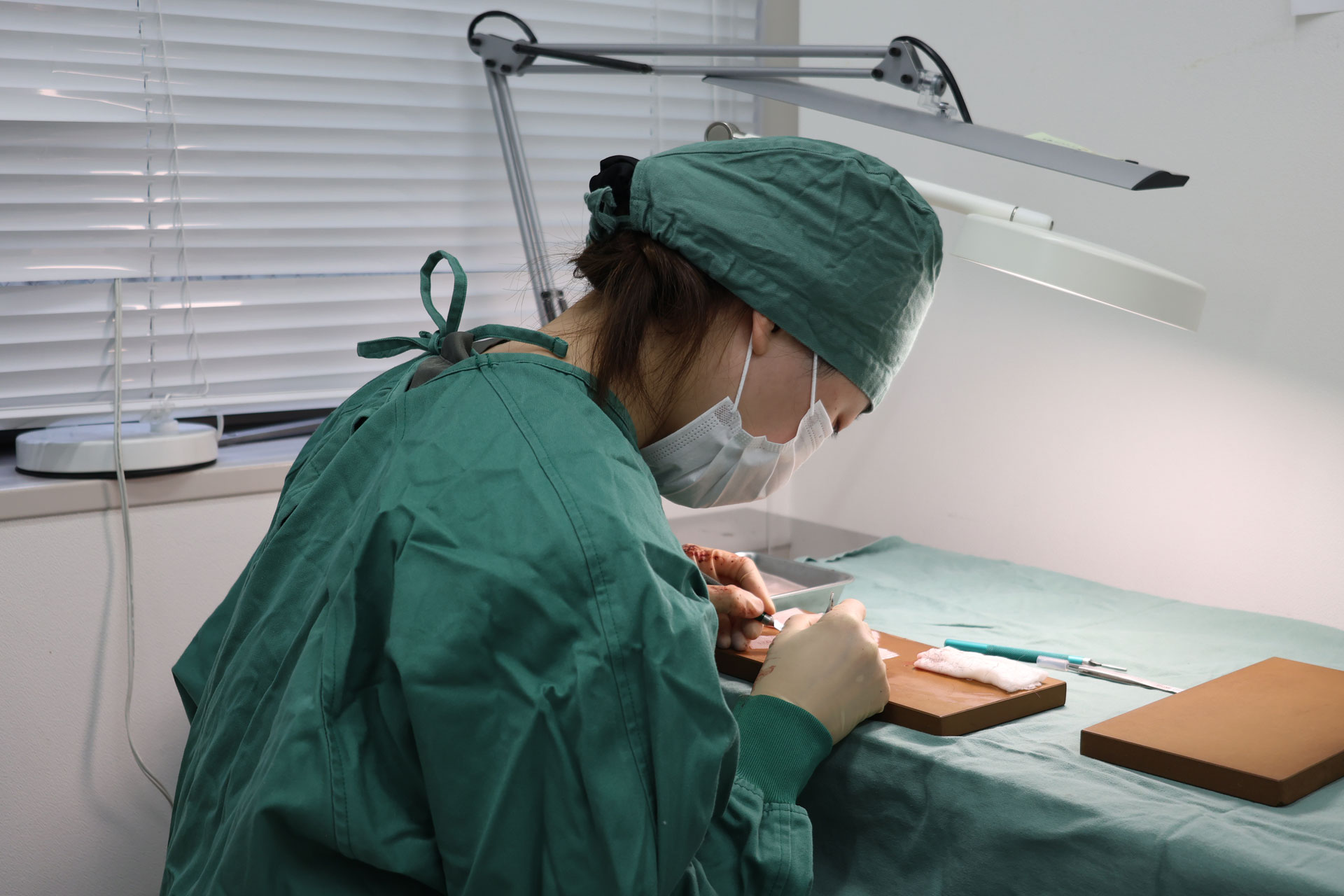 常勤看護師（未経験） 仕事内容