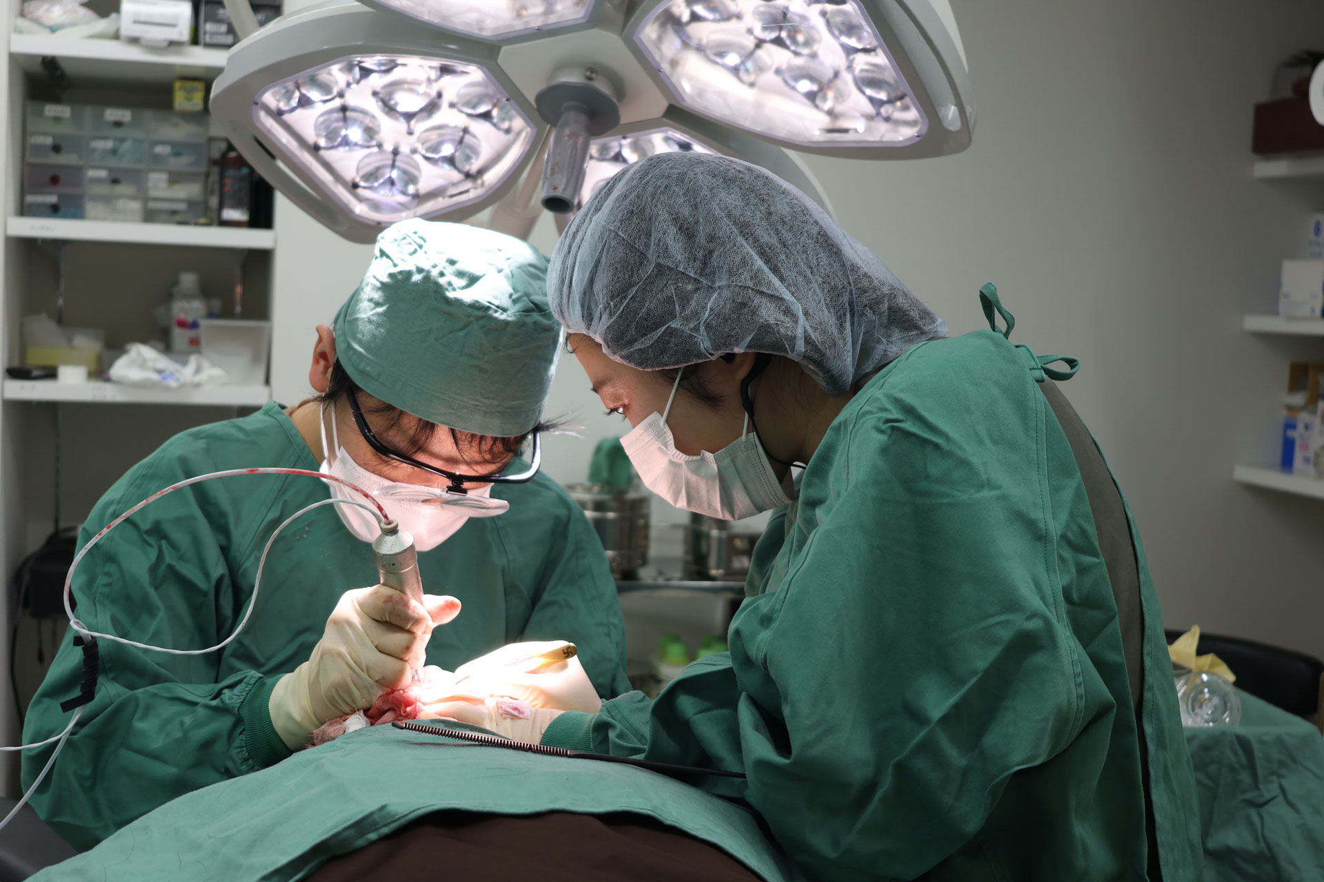 非常勤看護師 仕事内容