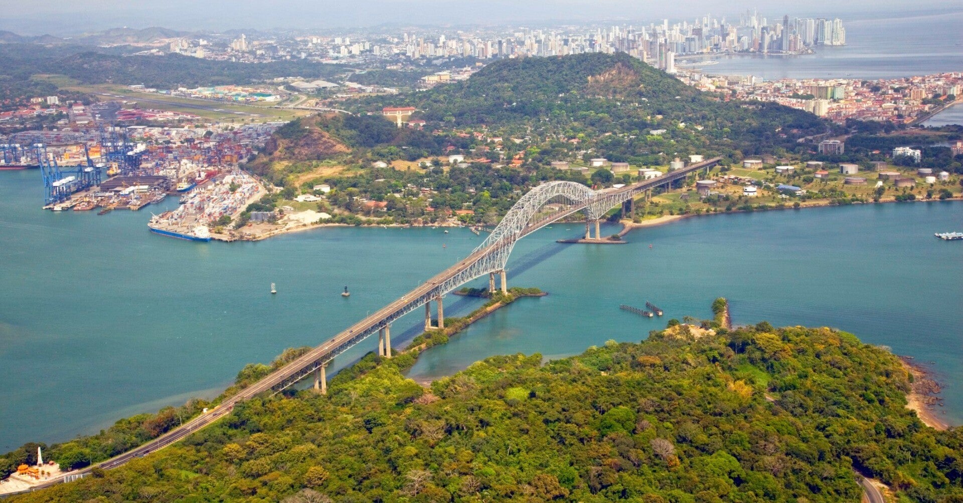 「植毛術後ダウンタイムを早く乗り切るための食事」とは？【第30回 国際毛髪外科学会①】｜東京 自毛植毛 アルモ形成クリニック 美容外科