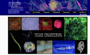 毛髪再生医療の大家、横浜国立大学教授　福田淳二先生と提携いたしました。｜東京 自毛植毛 アルモ形成クリニック 美容外科