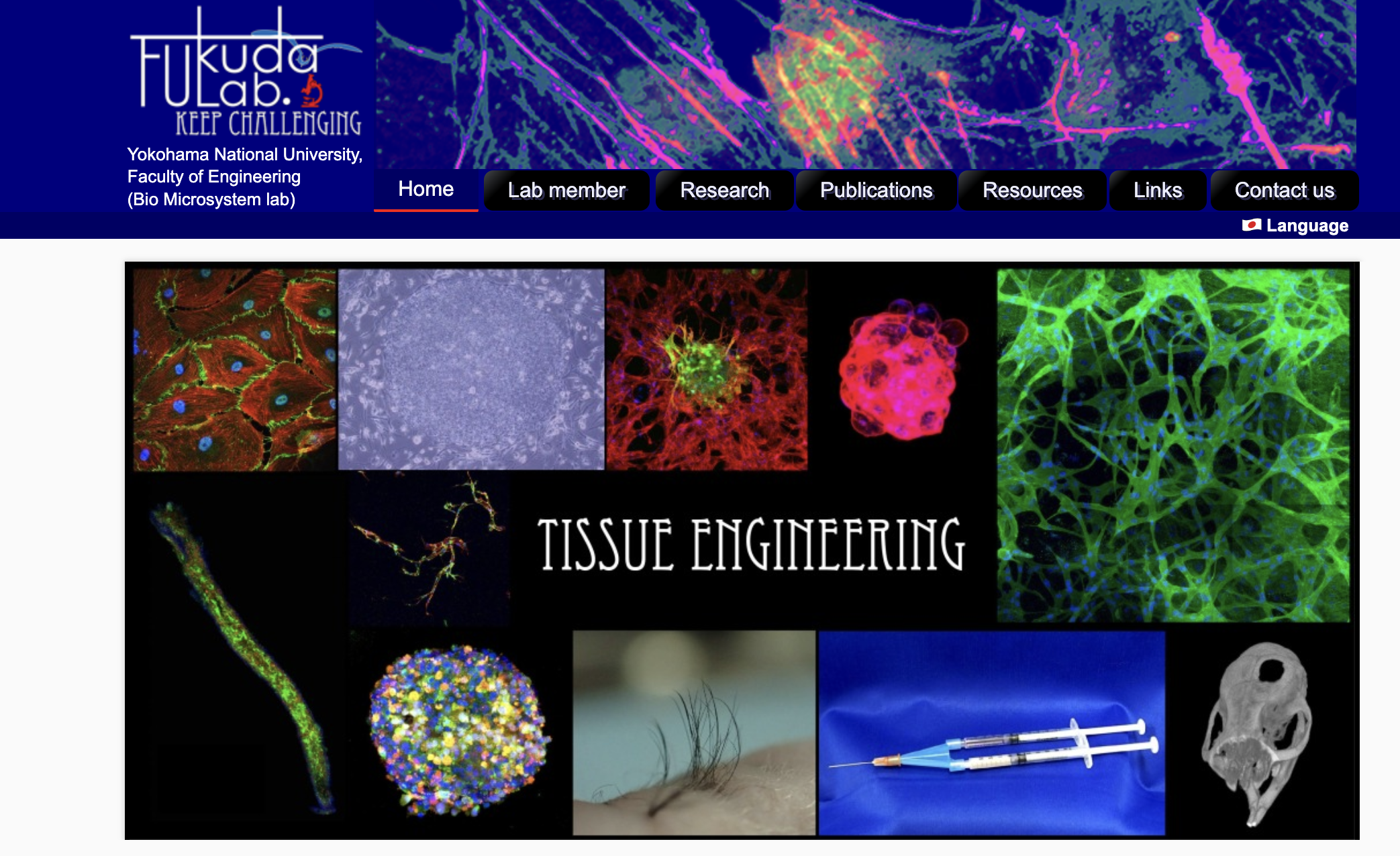 毛髪再生医療の大家、横浜国立大学教授　福田淳二先生と提携いたしました。｜東京 自毛植毛 アルモ形成クリニック 美容外科