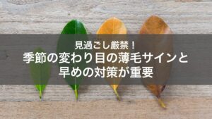 季節の変わり目は薄毛になりやすい？原因と対策も解説