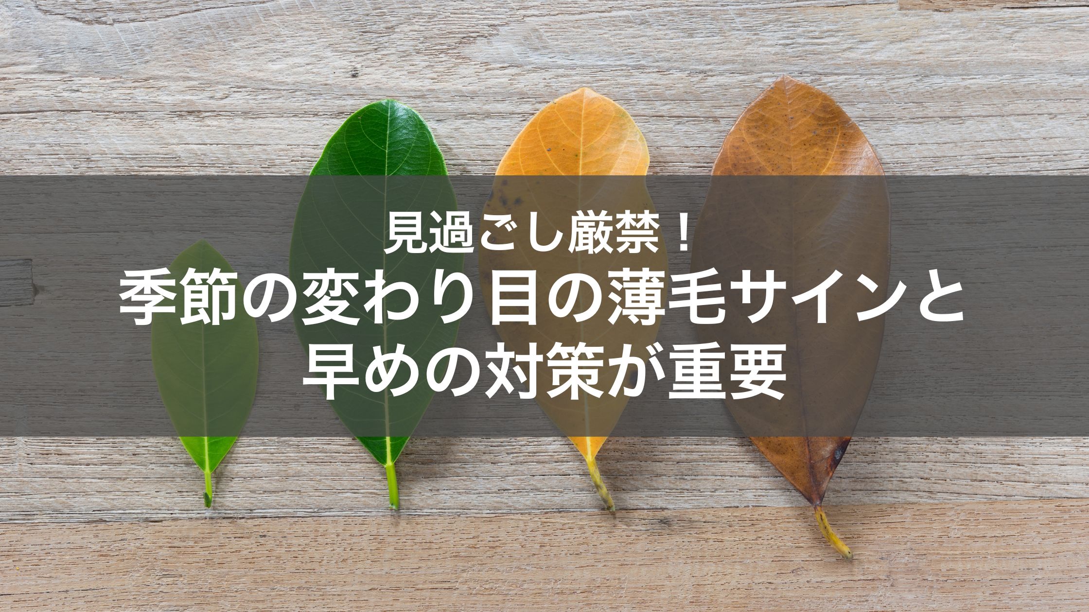 季節の変わり目は薄毛になりやすい？原因と対策も解説